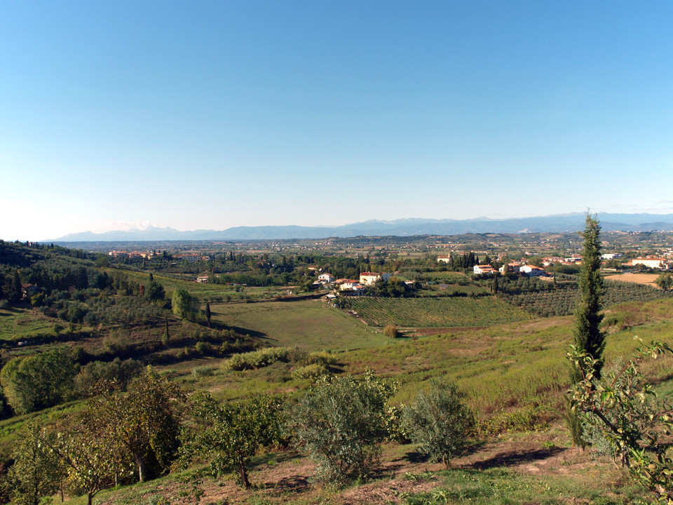 panorama7